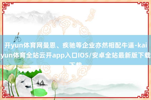 开yun体育网曼恩、疾驰等企业亦然相配牛逼-kaiyun体育全站云开app入口IOS/安卓全站最新版下载