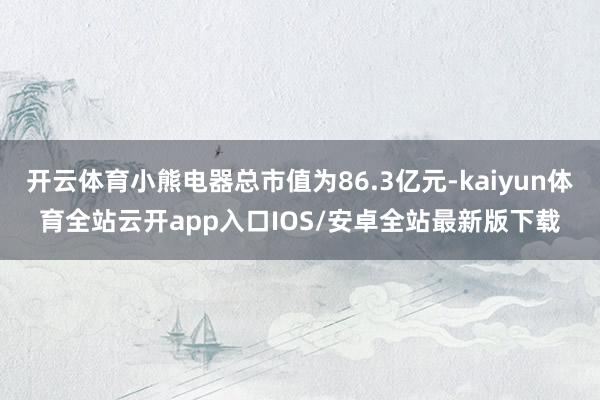 开云体育小熊电器总市值为86.3亿元-kaiyun体育全站云开app入口IOS/安卓全站最新版下载