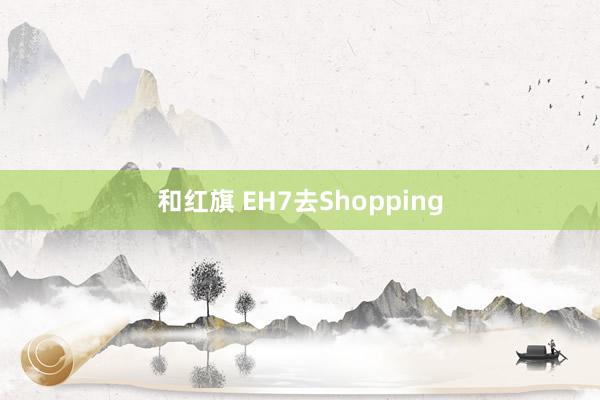 和红旗 EH7去Shopping